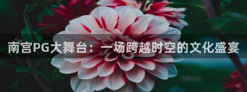 多多28g5