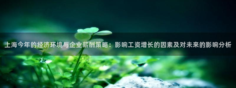 多多28g招商：上海今年的经济环境与企业薪酬策略：影响工资增长的因素及对未来的影