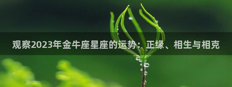 多多28g体育凯捷平台代理：观察2023年金牛座星座的运势：正缘、相生与相克