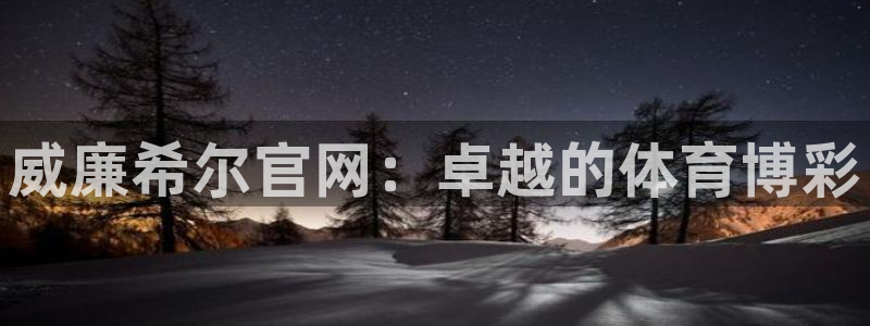 多多28g2登录入口：威廉希尔官网：卓越的体育博彩