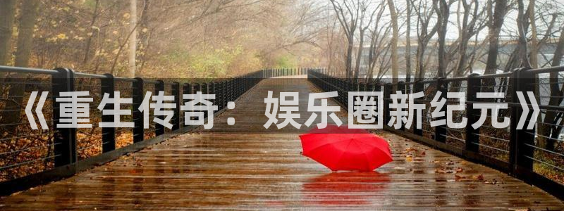 德国多多28g集团：《重生传奇：娱乐圈新纪元》