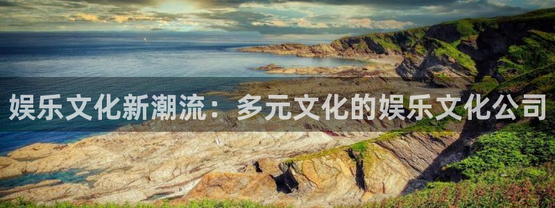 多多28g4开户：娱乐文化新潮流：多元文化的娱乐文化公司