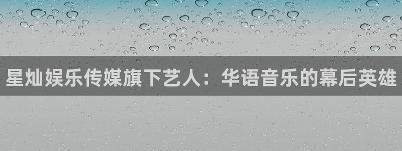 多多28g体育热门赛事有哪些：星灿娱乐传媒旗下艺人：华语音乐的幕后英雄