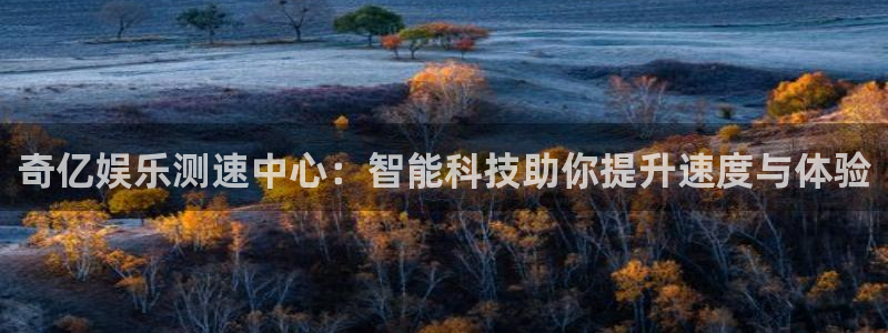 多多28g集团股票：奇亿娱乐测速中心：智能科技助你提升速度与体验