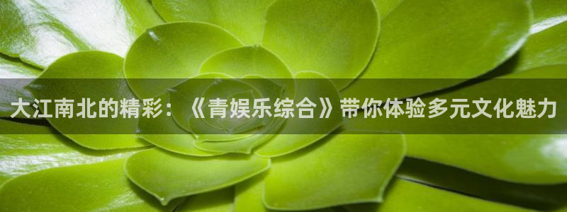 多多28g4代理