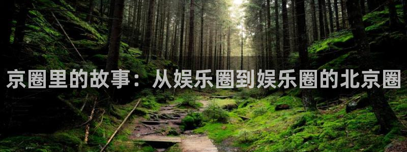 多多28g股份