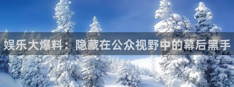 多多28g体育注册代理：娱乐大爆料：隐藏在公众视野中的幕后黑手