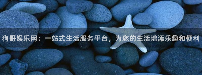 多多28g代理：狗哥娱乐网：一站式生活服务平台，为您的生活增添乐趣和便利