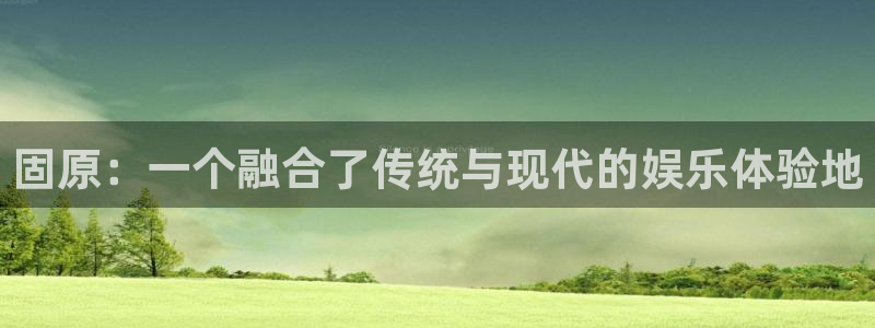 多多28g体育代理：固原：一个融合了传统与现代的娱乐体验地