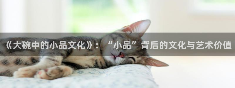 多多28g2登录地址：《大碗中的小品文化》：“小品”背后的文化与艺术价值