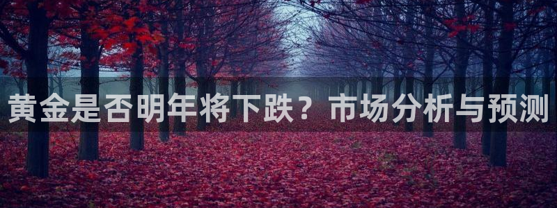 多多28gf凯捷平台在线注册：黄金是否明年将下跌？市场分析与预测