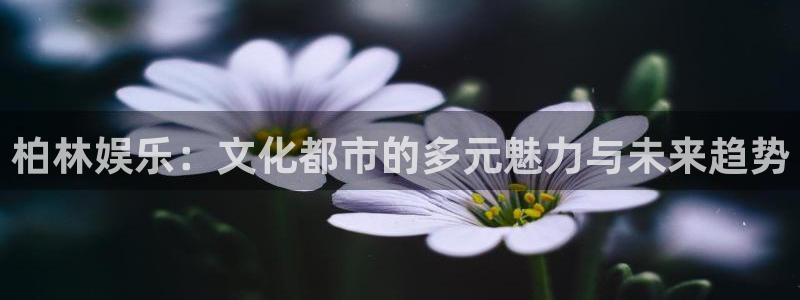 多多28g体育app下载：柏林娱乐：文化都市的多元魅力与未来趋势