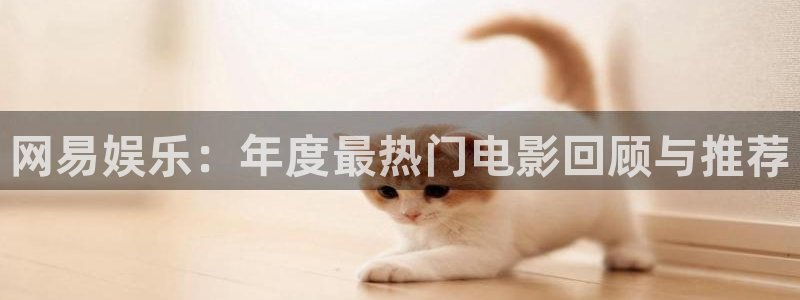 多多28g平台：网易娱乐：年度最热门电影回顾与推荐