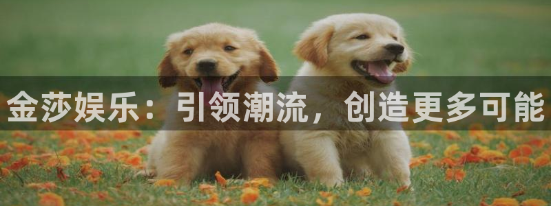 多多28g体育平台开号链接：金莎娱乐：引领潮流，创造更多可能