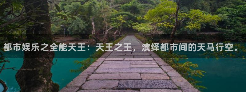 多多28g现在优惠多少：都市娱乐之全能天王：天王之王，演绎都市间的天马行空。