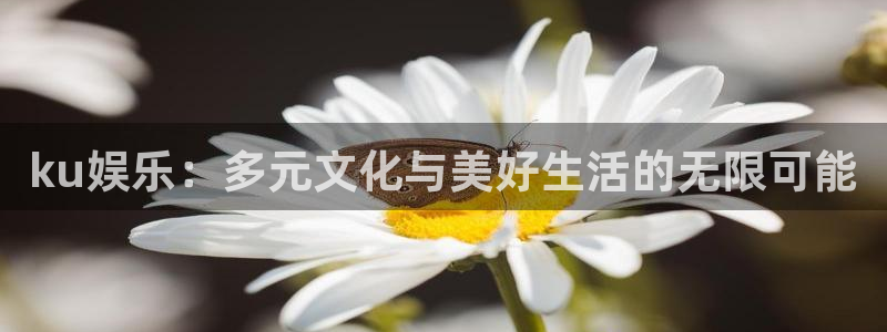 多多28g体育代理申请流程：ku娱乐：多元文化与美好生活的无限可能