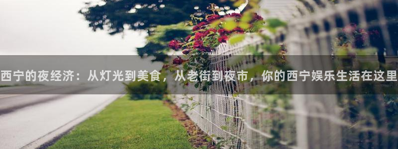 多多28g体育官网