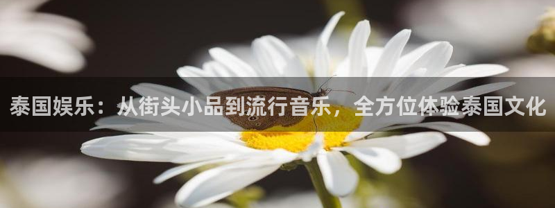 多多28g平台开户：泰国娱乐：从街头小品到流行音乐，全方位体验泰国文化
