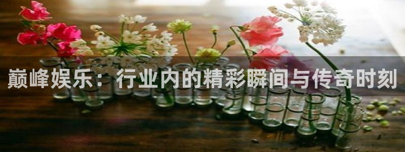 多多28g3平台注册：巅峰娱乐：行业内的精彩瞬间与传奇时刻
