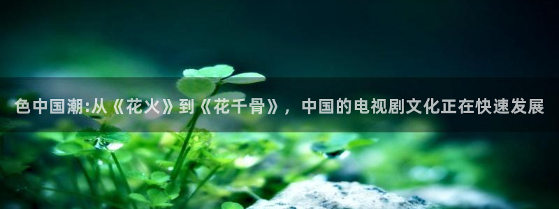 多多28g体育凯捷代理注册：色中国潮:从《花火》到《花千骨》，中国的电视剧文化正