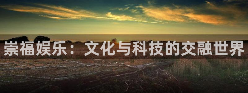 多多28g平台开户链接：崇福娱乐：文化与科技的交融世界
