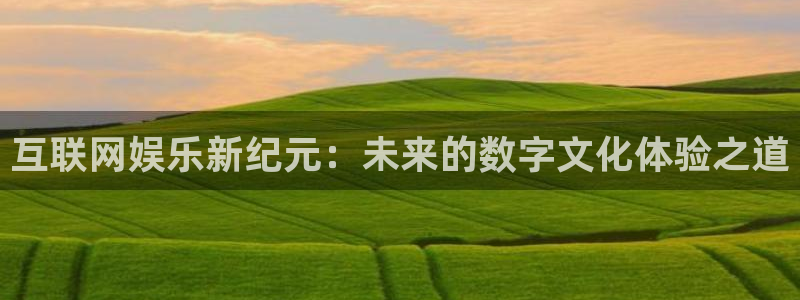 多多28g环保：互联网娱乐新纪元：未来的数字文化体验之道