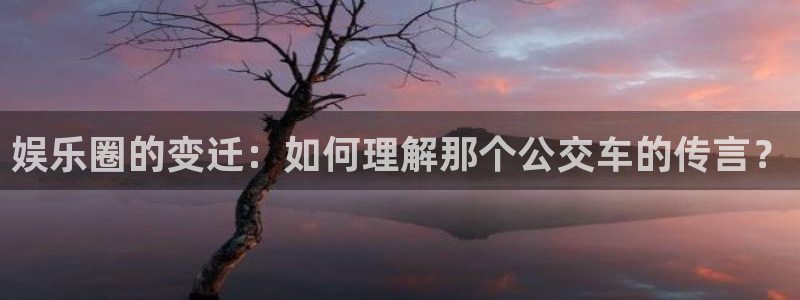 多多28g主管：娱乐圈的变迁：如何理解那个公交车的传言？