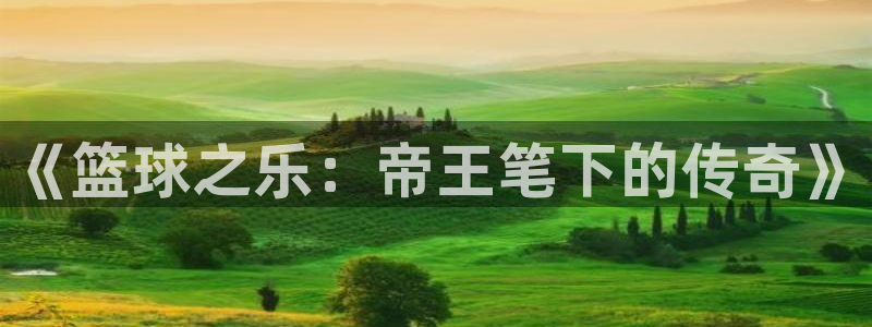 多多28g5注册：《篮球之乐：帝王笔下的传奇》