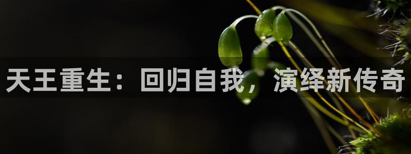 多多28g体育游戏