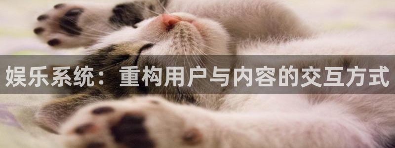 多多28g代理：娱乐系统：重构用户与内容的交互方式