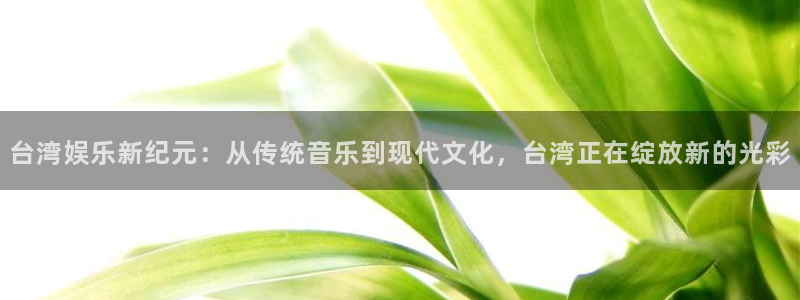 多多28g体育官网登录：台湾娱乐新纪元：从传统音乐到现代文化，台湾正在绽放新的光彩
